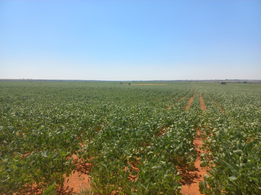 Commercial Property for Sale in Theunissen Free State